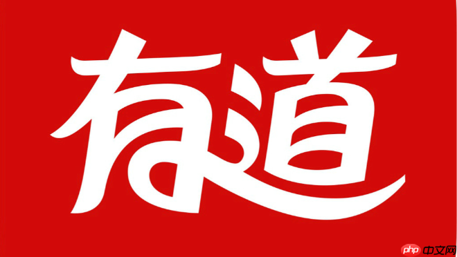 有道词典官方网站入口 免费查词翻译入口