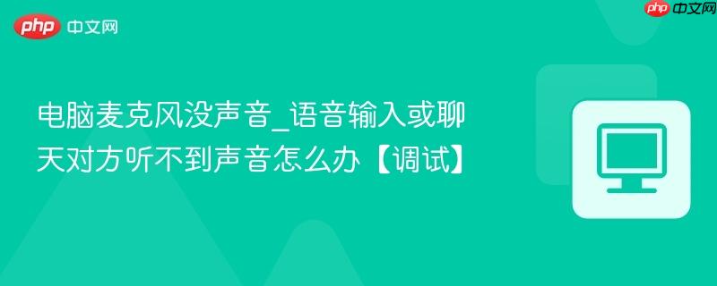 电脑麦克风没声音_语音输入或聊天对方听不到声音怎么办【调试】  第1张