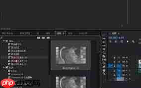 premiere如何使用调整图层