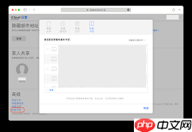 Safari恢复标签页失败如何翻旧内容
