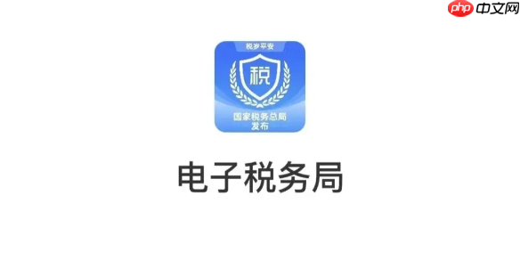 电子税务局网页版入口 增值税发票综合服务平台  第1张