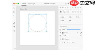 Adobe XD如何放大画布  第3张