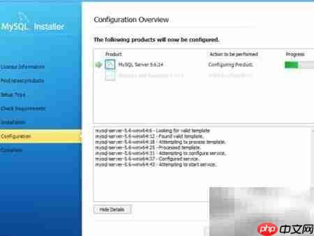 解决Attempting to start service问题