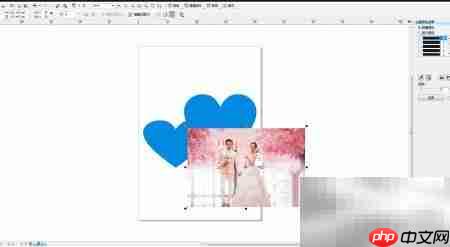 CDR软件图片设计入门技巧  第3张