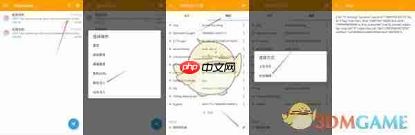 《黄鸟抓包》修改轻颜相机教程  第3张