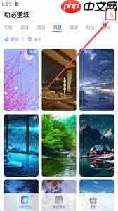 哇叽壁纸app如何使用  第3张