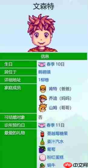 《星露谷物语》文森特爱心事件介绍