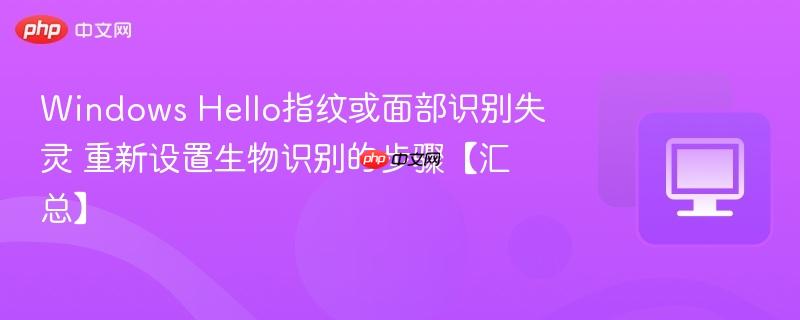 Windows Hello指纹或面部识别失灵 重新设置生物识别的步骤【汇总】