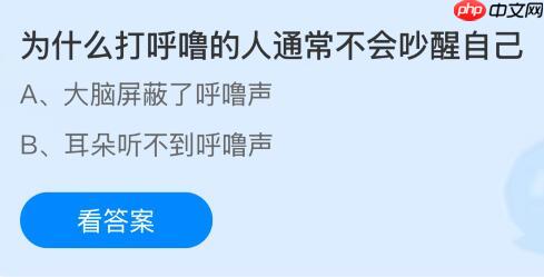 为什么打呼噜的人通常不会吵醒自己？蚂蚁庄园今日答案最新12.19