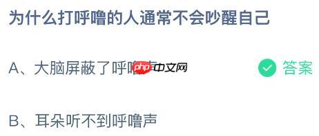 为什么打呼噜的人通常不会吵醒自己？蚂蚁庄园今日答案最新12.19  第2张