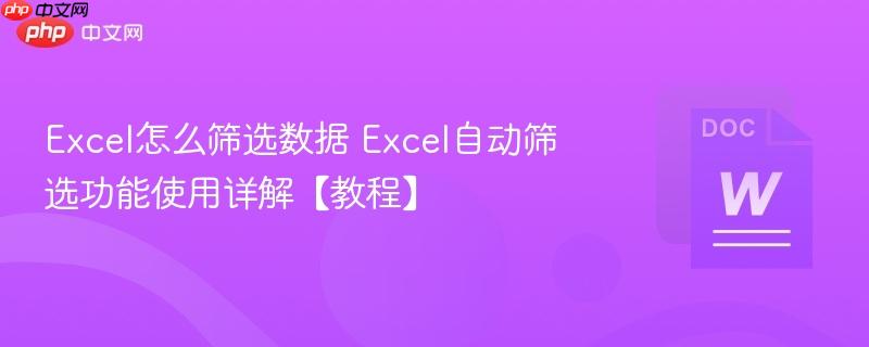 Excel怎么筛选数据 Excel自动筛选功能使用详解【教程】