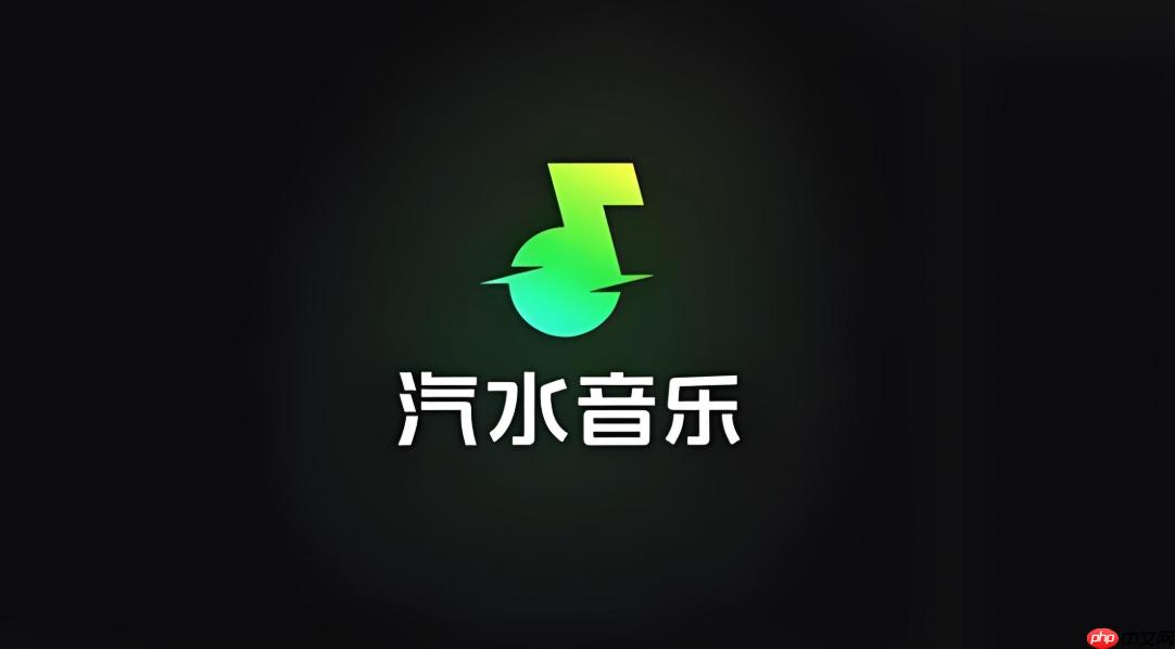 数播机怎么安装汽水音乐