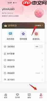 恋小帮会员如何购买  第3张