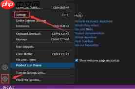 VSCode如何设置任务栏显示范围  第2张