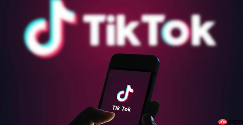 Tiktok免登录网页入口 国际版在线直达入口