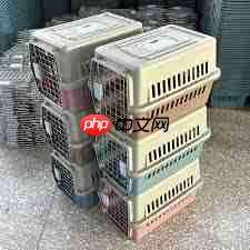 12306能否托运宠物