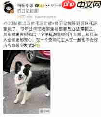 12306能否托运宠物  第2张