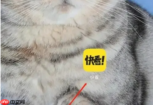 《快看漫画》设置自动购买方法