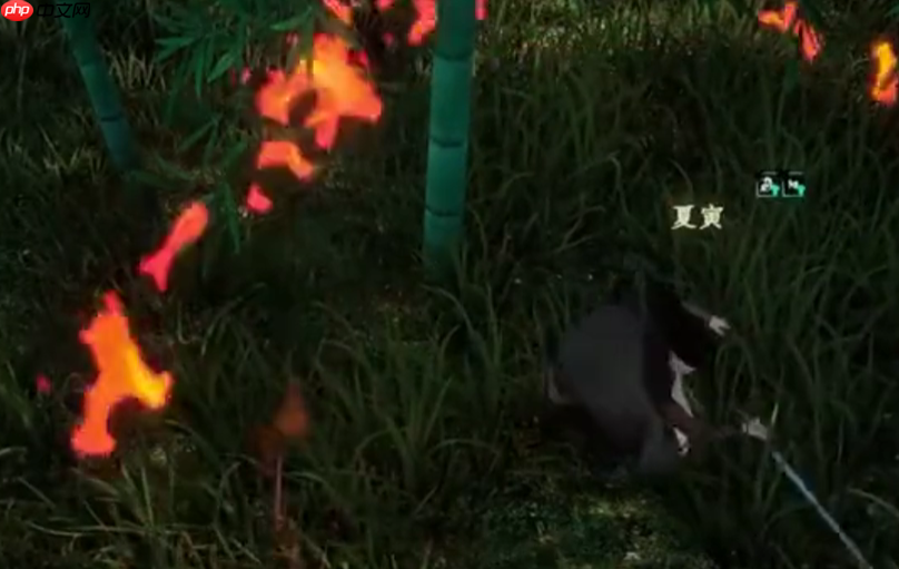 《下一站江湖2》月下剑舞任务攻略  第4张