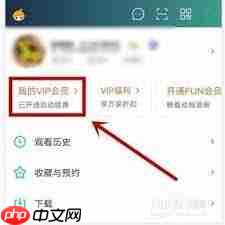 如何在支付宝关闭爱奇艺自动续费  第2张