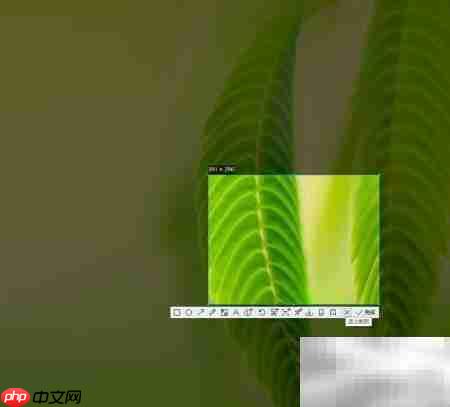 Win10截图方法大全