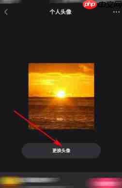 快手电脑版怎么设置头像-快手电脑版设置头像的方法  第4张
