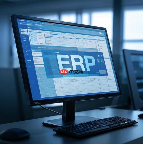 ERP系统全称_ERP系统英文全称及中文释义