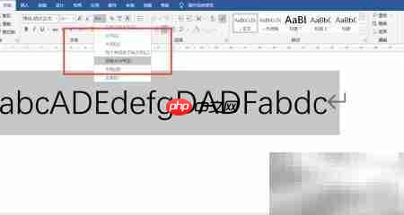 字符串大小写转换技巧  第2张