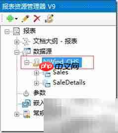 报表皮肤设置案例解析  第2张