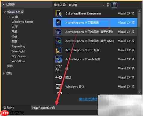 报表皮肤设置案例解析