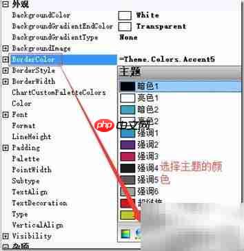 报表皮肤设置案例解析  第7张