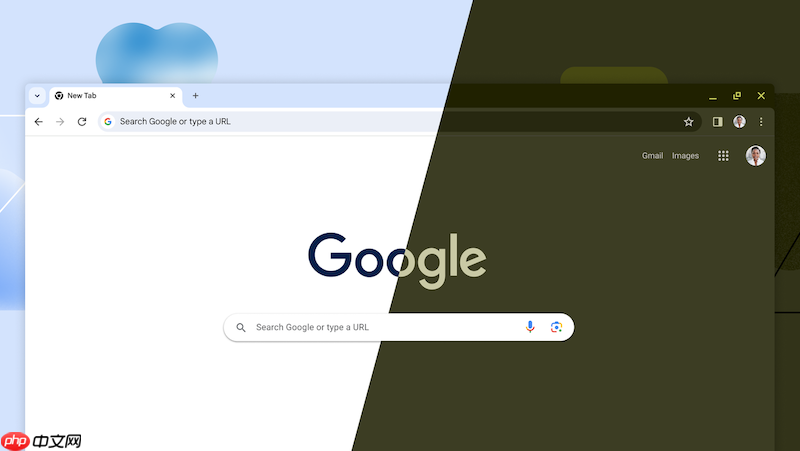谷歌浏览器搜索引擎叫什么 谷歌浏览器官网入口