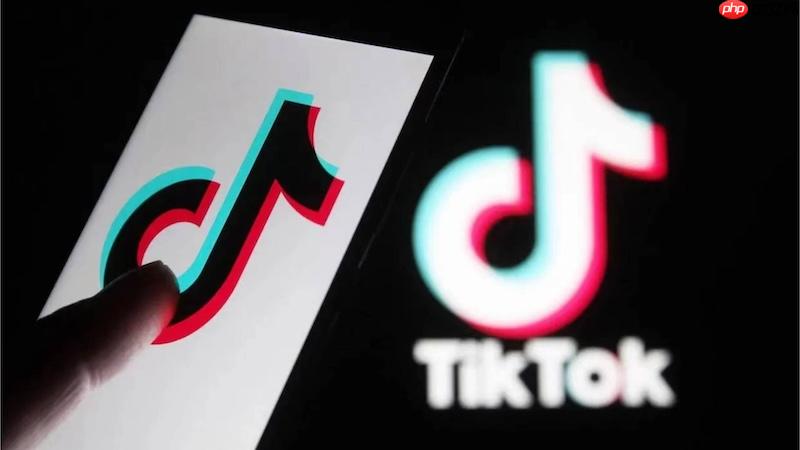 TikTok网页版账号登录 TikTok国际版视频搜索快速入口
