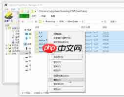 IDM下载器临时文件夹位置在哪  第2张