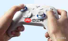如何用手柄玩转PC游戏  第3张