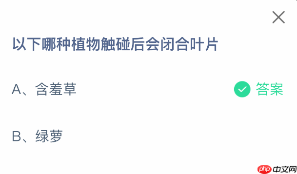 以下哪种植物触碰后会闭合叶片  第2张