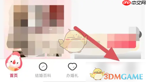 《婚礼纪》设置身份方法