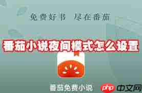 番茄免费小说如何开启夜间模式