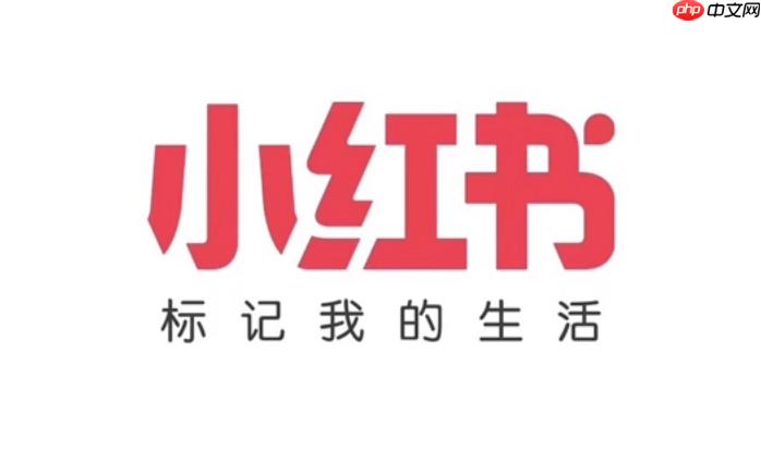 小红书官方Web登录页面 小红书电脑版浏览通道
