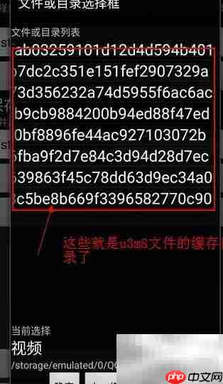 m3u8转mp4 Mac方法  第6张