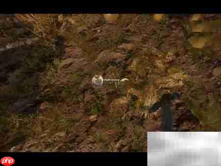 荒岛椰子饮用指南  第4张