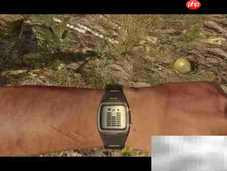 荒岛椰子饮用指南