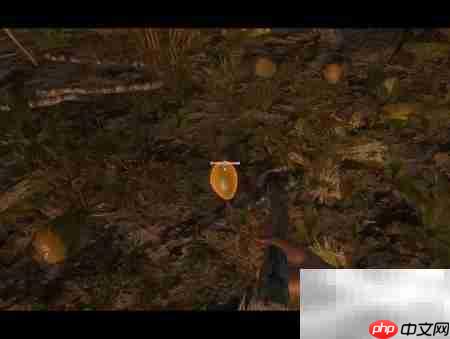 荒岛椰子饮用指南  第3张