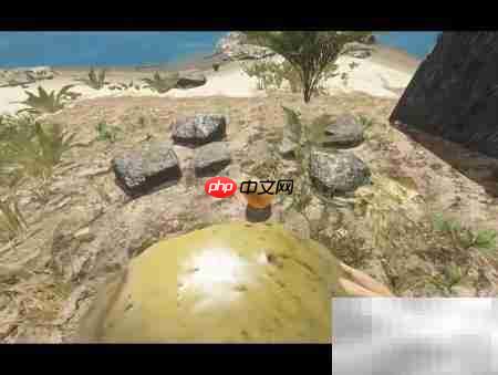 荒岛椰子饮用指南  第6张