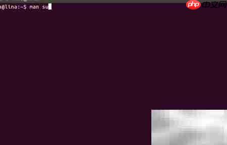 Linux Man Page 使用指南  第1张