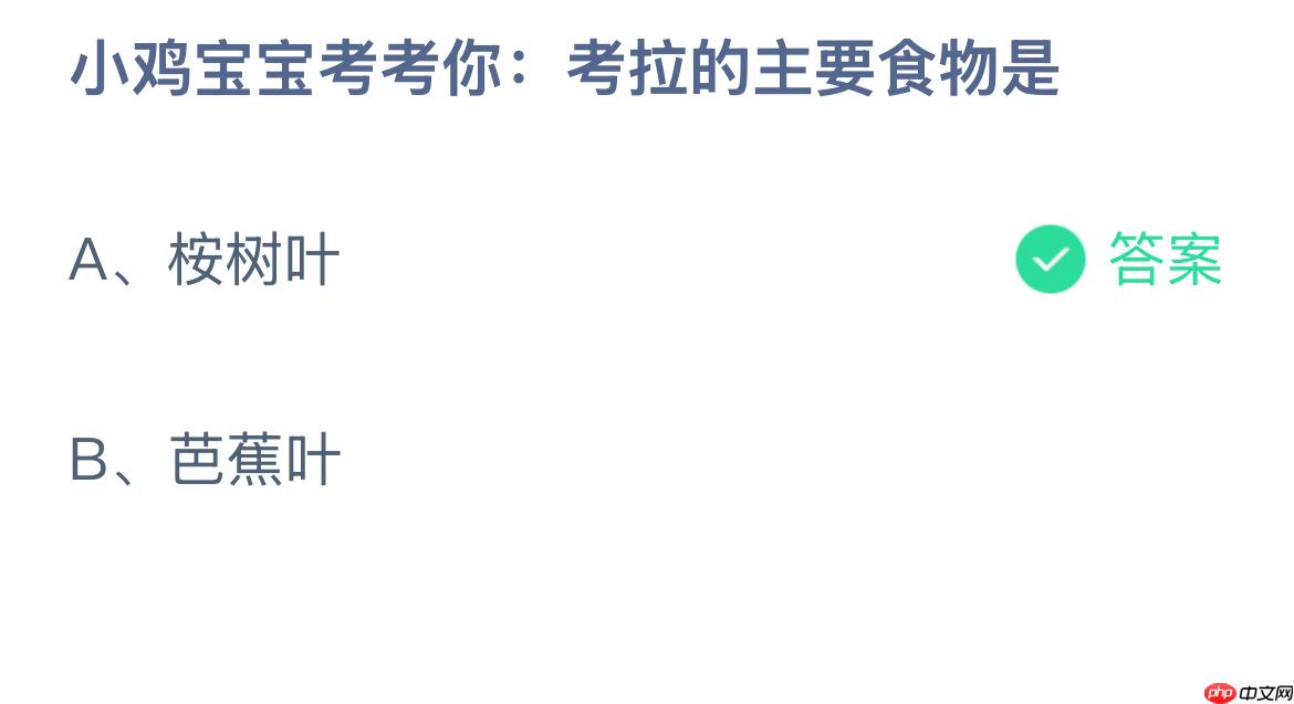 小鸡宝宝考考你：考拉的主要食物是？蚂蚁庄园答案最新12.17