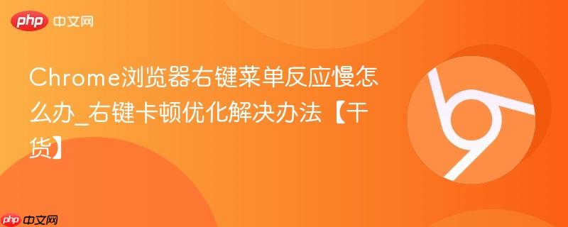 Chrome浏览器右键菜单反应慢怎么办_右键卡顿优化解决办法【干货】