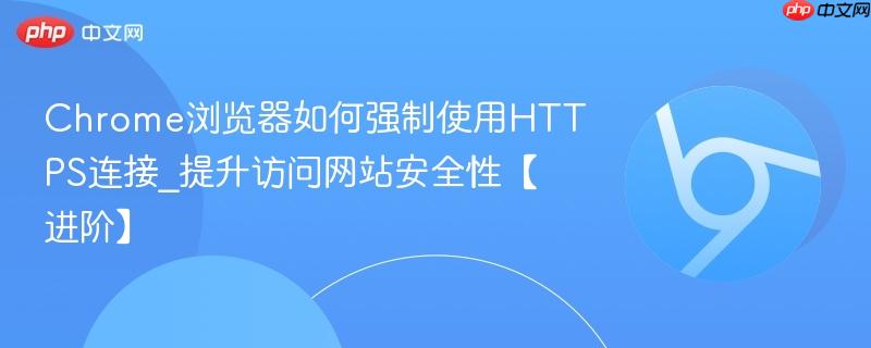 Chrome浏览器如何强制使用HTTPS连接_提升访问网站安全性【进阶】