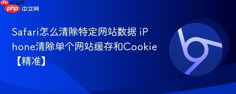 Safari怎么清除特定网站数据 iPhone清除单个网站缓存和Cookie【精准】
