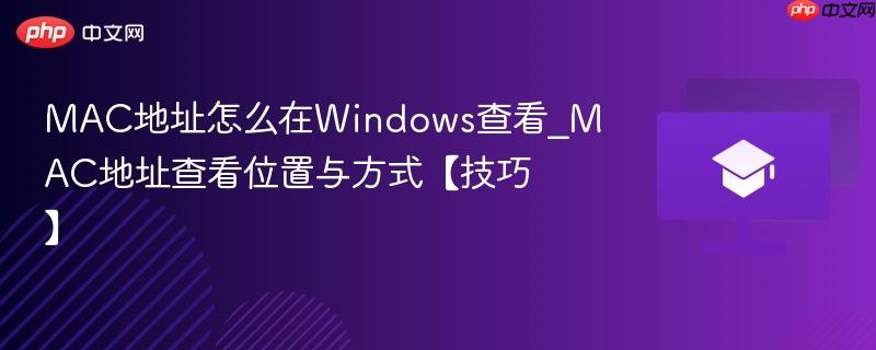 MAC地址怎么在Windows查看_MAC地址查看位置与方式【技巧】  第1张